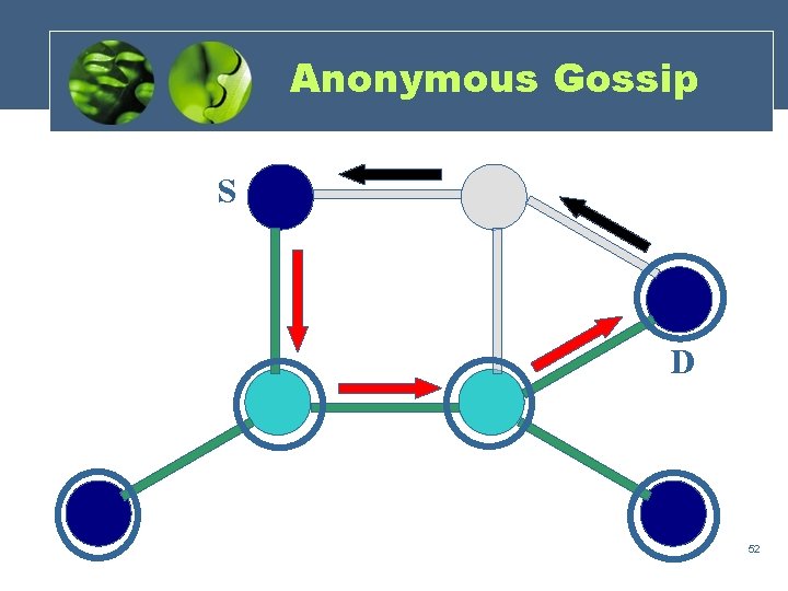 Anonymous Gossip S D 52 