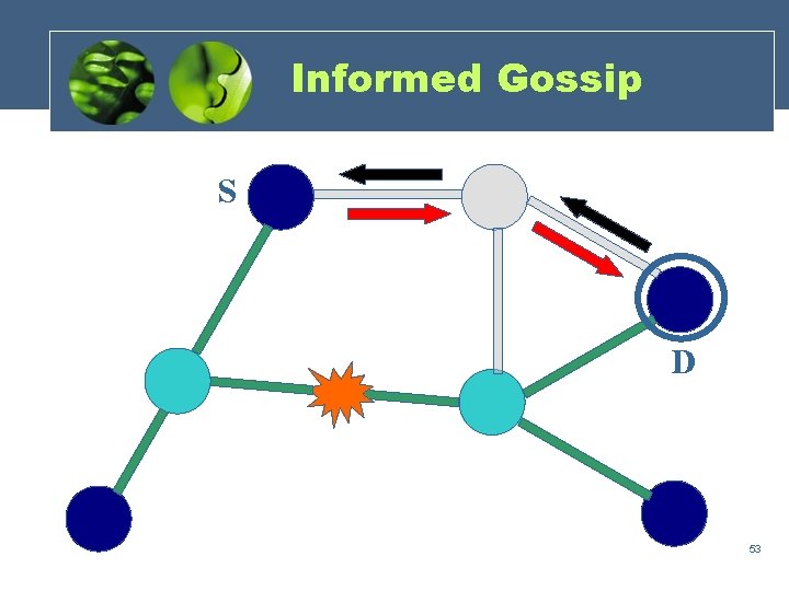 Informed Gossip S D 53 