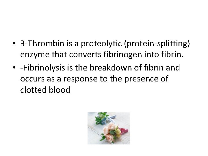  • 3 -Thrombin is a proteolytic (protein-splitting) enzyme that converts fibrinogen into fibrin.