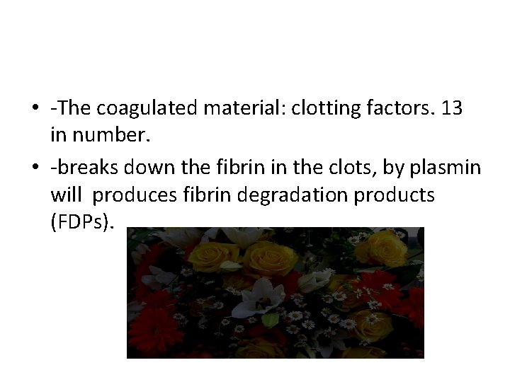  • -The coagulated material: clotting factors. 13 in number. • -breaks down the