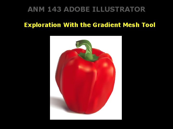 ANM 143 ADOBE ILLUSTRATOR Exploration With the Gradient Mesh Tool 