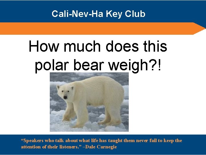 Cali-Nev-Ha Key Club How much does this polar bear weigh? ! “Speakers who talk