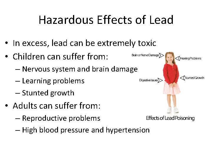 Hazardous Effects of Lead • In excess, lead can be extremely toxic • Children