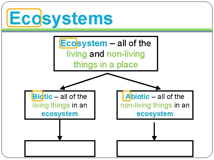 Ecosystems Ecosystem – all of the living and non-living things in a place Biotic