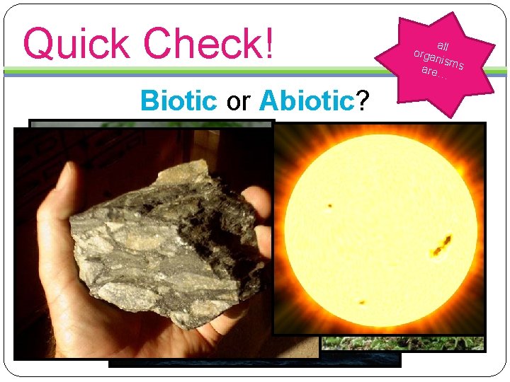 Quick Check! Biotic or Abiotic? a orga ll nism are… s 