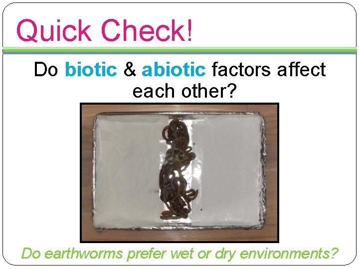 Quick Check! Do biotic & abiotic factors affect each other? Do earthworms prefer wet