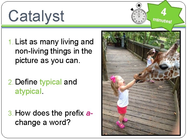 Catalyst 1. List as many living and non-living things in the picture as you