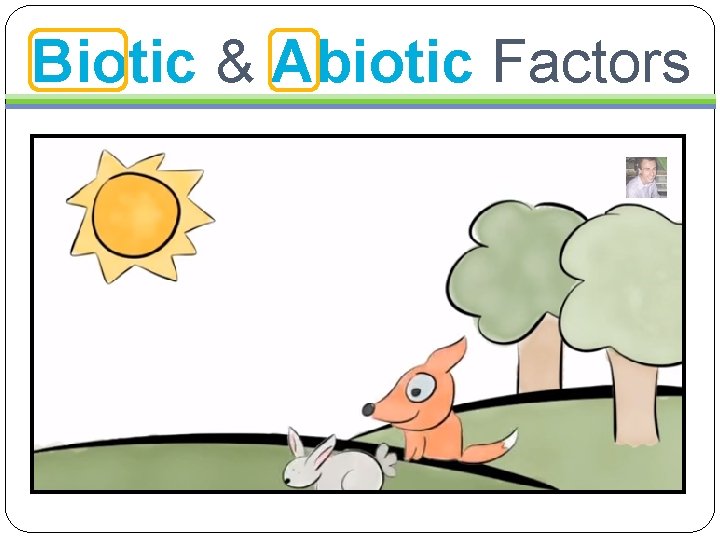 Biotic & Abiotic Factors 