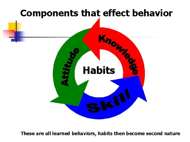Components that effect behavior Habits Skill These are all learned behaviors, habits then become