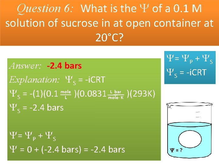 Question 6: What is the of a 0. 1 M solution of sucrose in