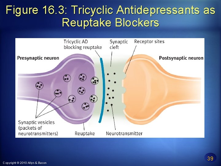 Figure 16. 3: Tricyclic Antidepressants as Reuptake Blockers Copyright © 2010 Allyn & Bacon