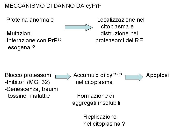 MECCANISMO DI DANNO DA cy. Pr. P Proteina anormale -Mutazioni -Interazione con Pr. Psc