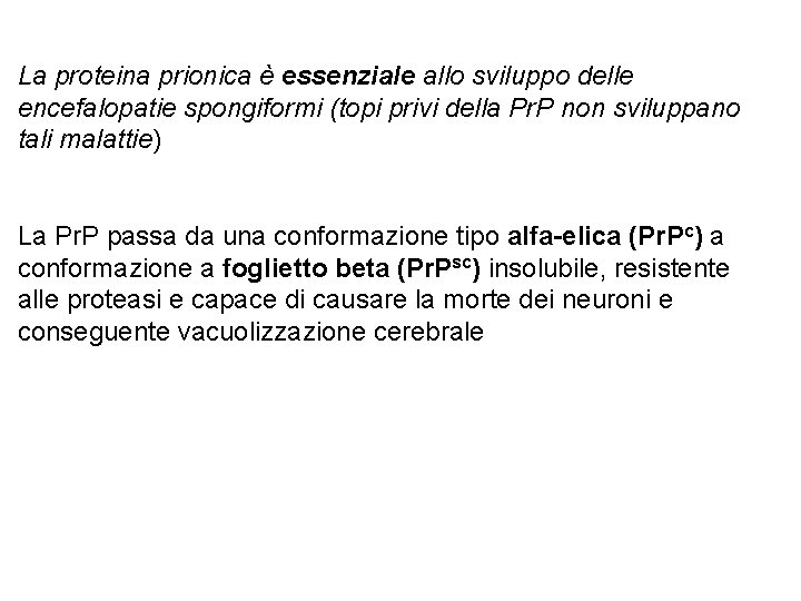 La proteina prionica è essenziale allo sviluppo delle encefalopatie spongiformi (topi privi della Pr.