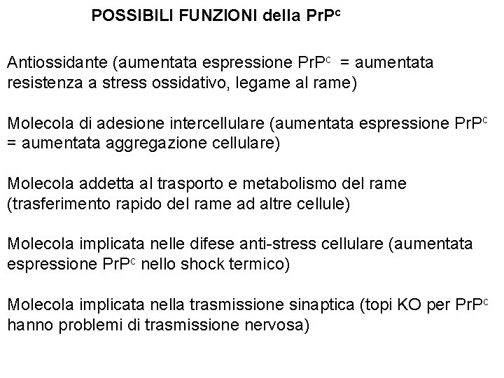 POSSIBILI FUNZIONI della Pr. Pc Antiossidante (aumentata espressione Pr. Pc = aumentata resistenza a