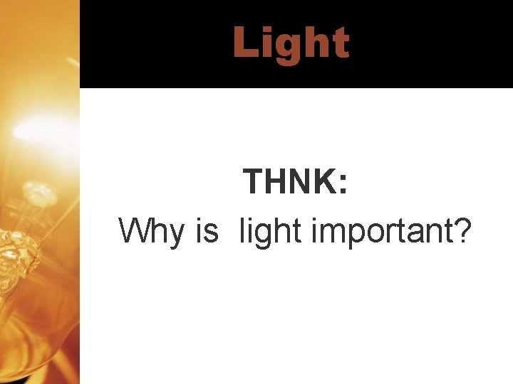 Light THNK: Why is light important? 