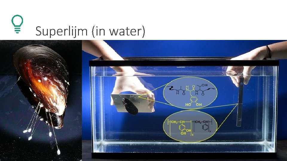Superlijm (in water) 