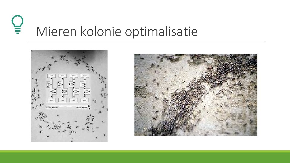 Mieren kolonie optimalisatie 