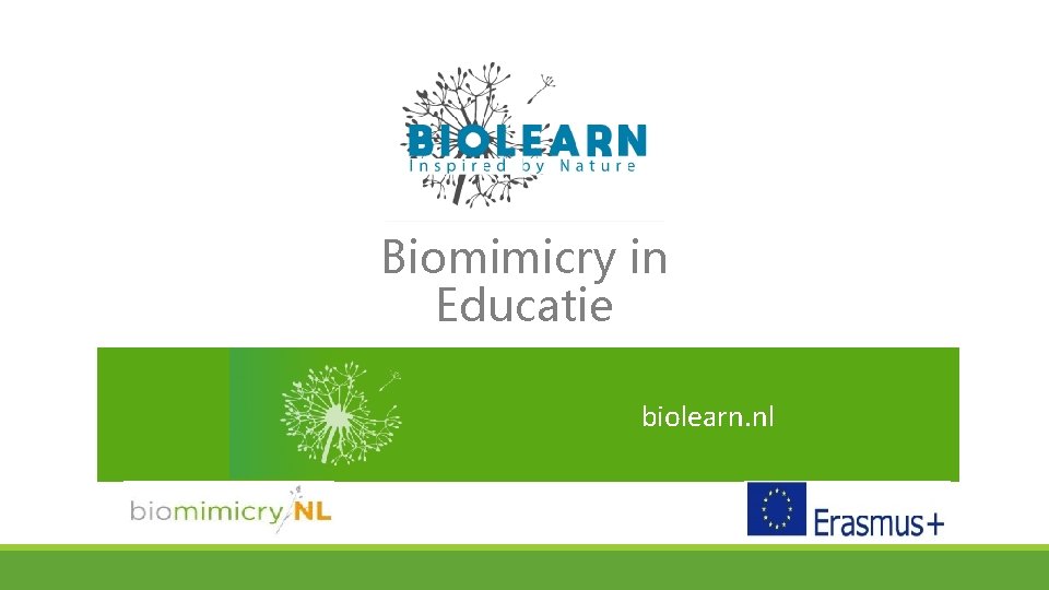 Biomimicry in Educatie biolearn. nl 