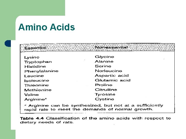 Amino Acids 