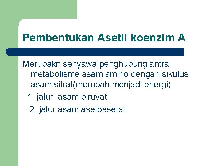 Pembentukan Asetil koenzim A Merupakn senyawa penghubung antra metabolisme asam amino dengan sikulus asam