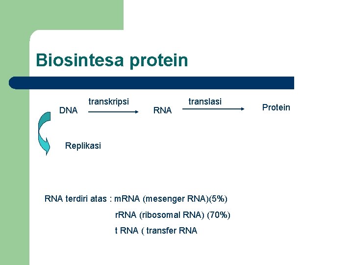 Biosintesa protein DNA transkripsi RNA translasi Replikasi RNA terdiri atas : m. RNA (mesenger