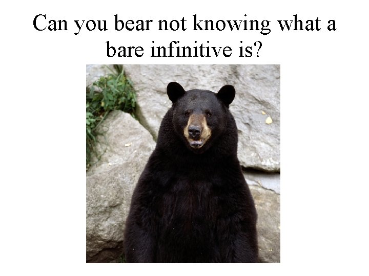 Can you bear not knowing what a bare infinitive is? 