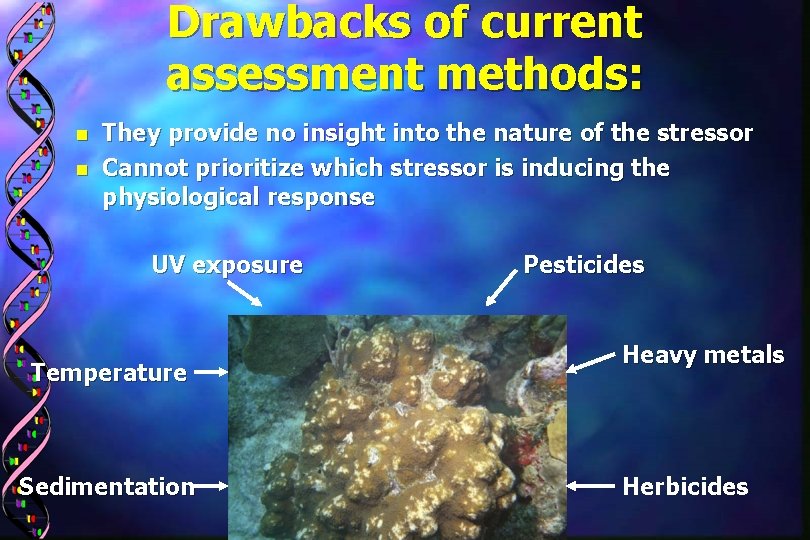 Drawbacks of current assessment methods: n n They provide no insight into the nature