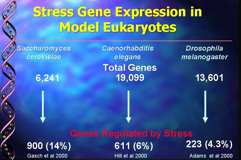 Stress Gene Expression in Model Eukaryotes Saccharomyces cerevisiae 6, 241 Caenorhabditis elegans Total Genes