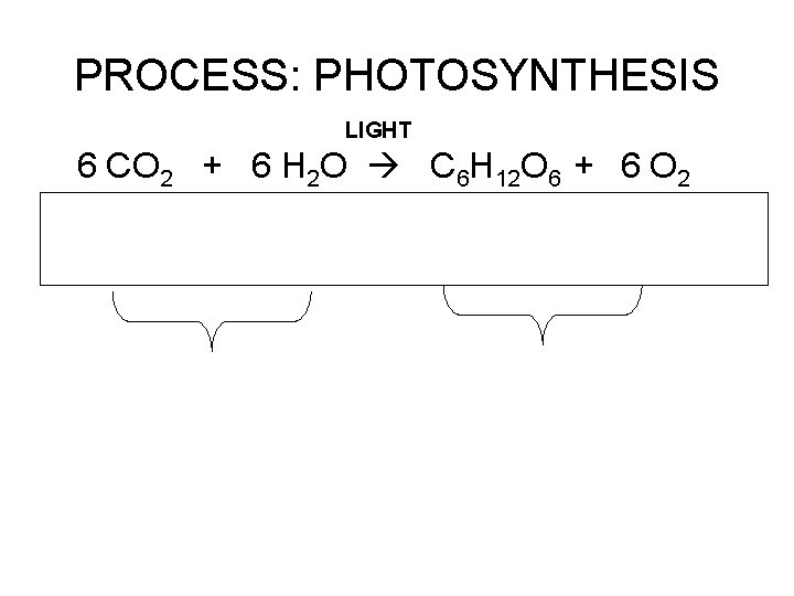 PROCESS: PHOTOSYNTHESIS LIGHT 6 CO 2 + 6 H 2 O C 6 H