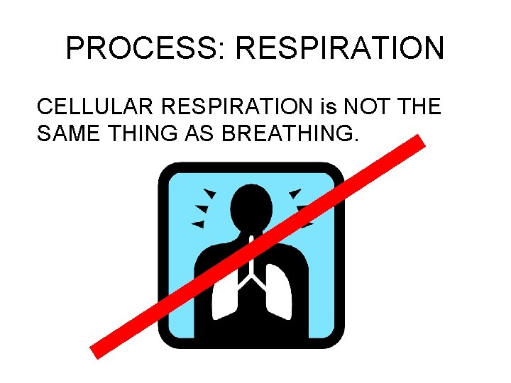 PROCESS: RESPIRATION CELLULAR RESPIRATION is NOT THE SAME THING AS BREATHING. 