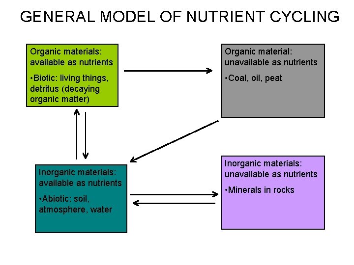 GENERAL MODEL OF NUTRIENT CYCLING Organic materials: available as nutrients Organic material: unavailable as