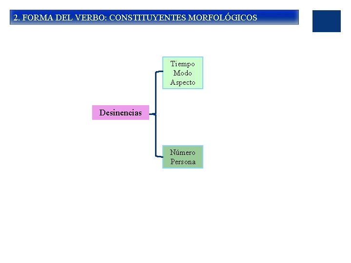 2. FORMA DEL VERBO: CONSTITUYENTES MORFOLÓGICOS Tiempo Modo Aspecto Desinencias Número Persona 