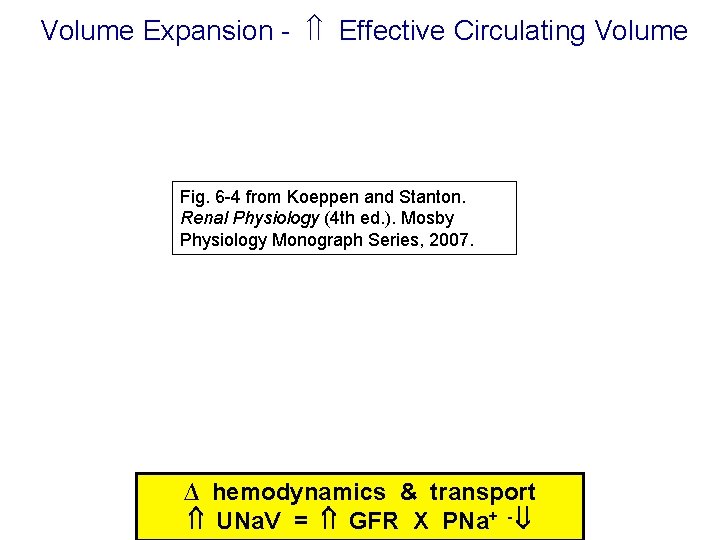 Volume Expansion - Effective Circulating Volume Fig. 6 -4 from Koeppen and Stanton. Renal