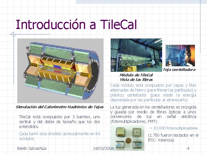 Introducción a Tile. Cal Teja centelladora Módulo de Tile. Cal Vista de las fibras