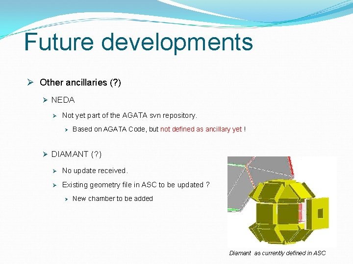 Future developments Ø Other ancillaries (? ) Ø NEDA Ø Not yet part of