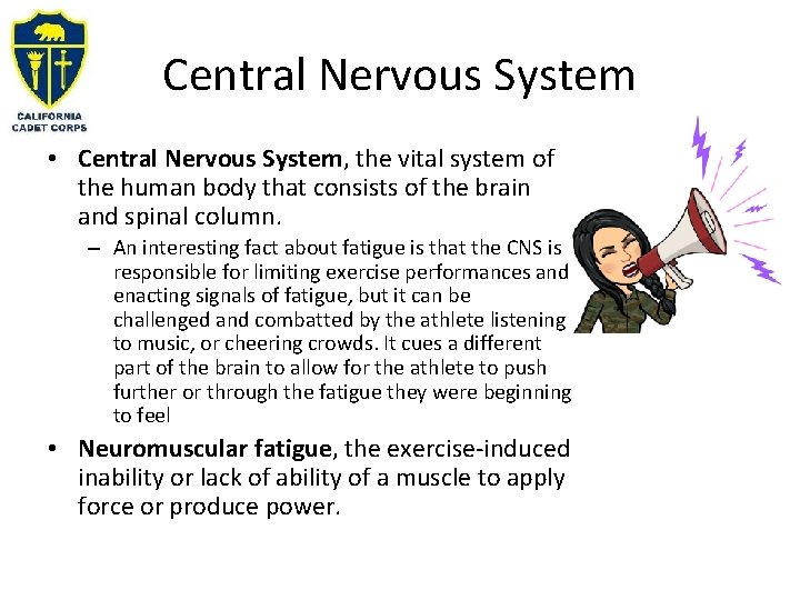 Central Nervous System • Central Nervous System, the vital system of the human body