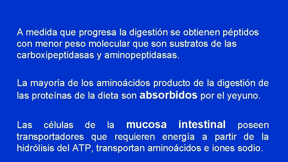 A medida que progresa la digestión se obtienen péptidos con menor peso molecular que