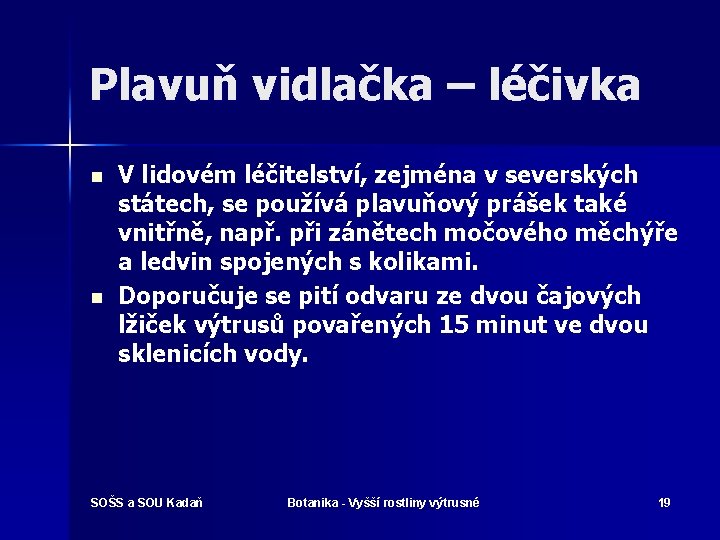 Plavuň vidlačka – léčivka n n V lidovém léčitelství, zejména v severských státech, se