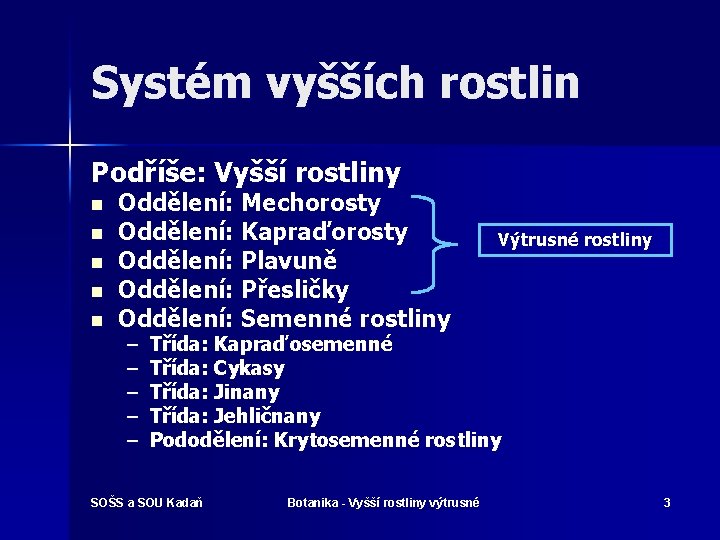 Systém vyšších rostlin Podříše: Vyšší rostliny n n n Oddělení: Mechorosty Oddělení: Kapraďorosty Oddělení: