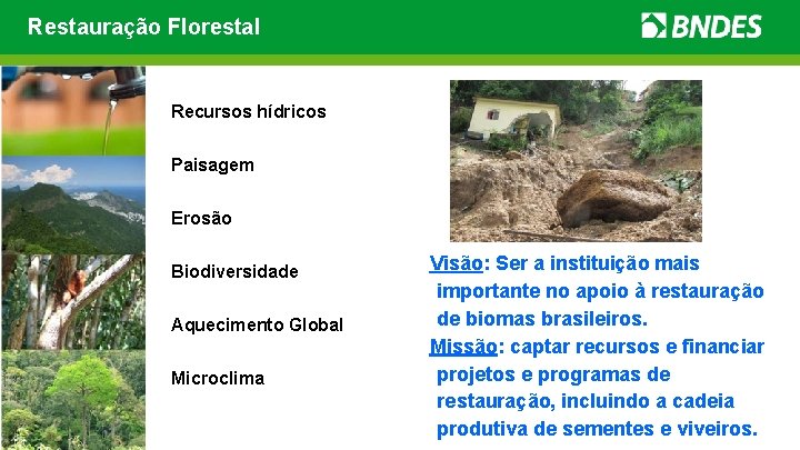 Restauração Florestal Recursos hídricos Paisagem Erosão Biodiversidade Aquecimento Global Microclima Visão: Ser a instituição