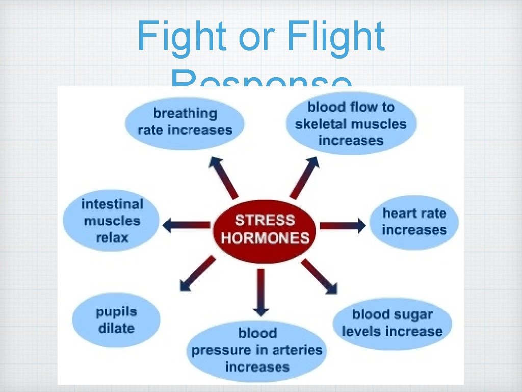 Fight or Flight Response 