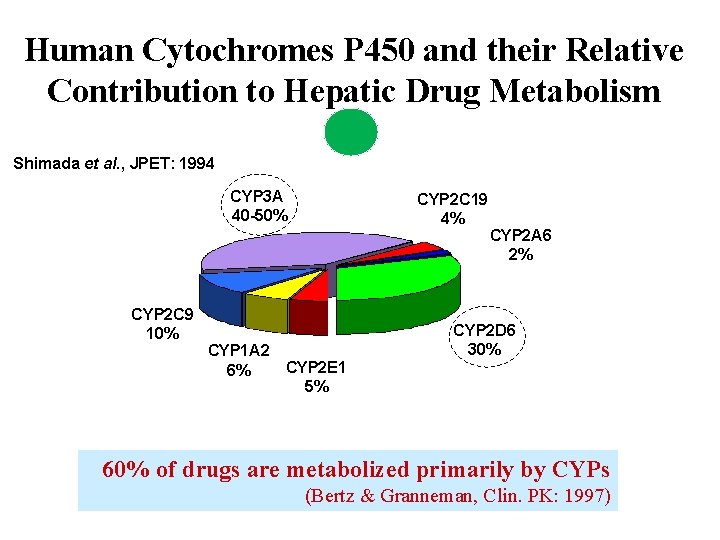 Human Cytochromes P 450 and their Relative Contribution to Hepatic Drug Metabolism Shimada et