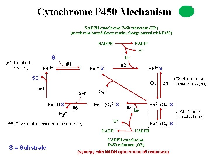 Cytochrome P 450 Mechanism NADPH cytochrome P 450 reductase (OR) (membrane bound flavoprotein; charge-paired