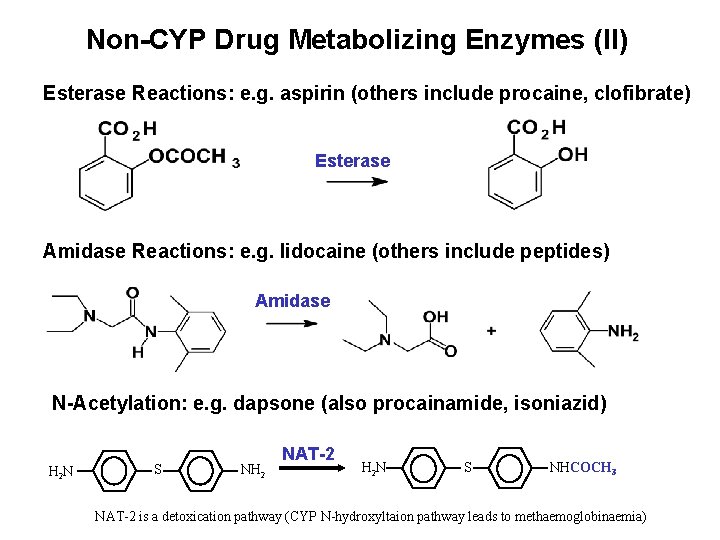 Non-CYP Drug Metabolizing Enzymes (II) Esterase Reactions: e. g. aspirin (others include procaine, clofibrate)