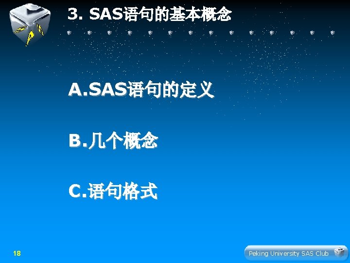 3. SAS语句的基本概念 A. SAS语句的定义 B. 几个概念 C. 语句格式 18 Peking University SAS Club 