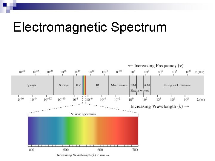 Electromagnetic Spectrum 