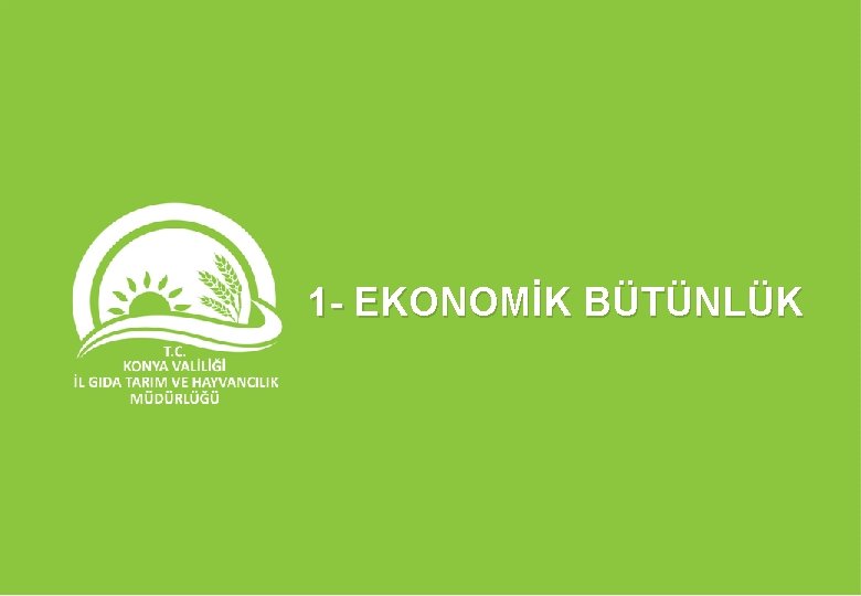 1 - EKONOMİK BÜTÜNLÜK 