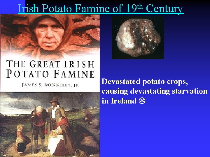 Irish Potato Famine of 19 th Century Devastated potato crops, causing devastating starvation in