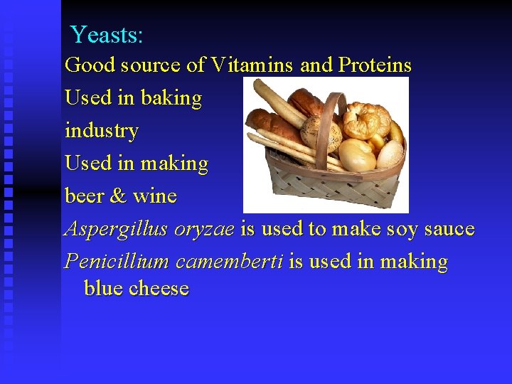 Yeasts: Good source of Vitamins and Proteins Used in baking industry Used in making