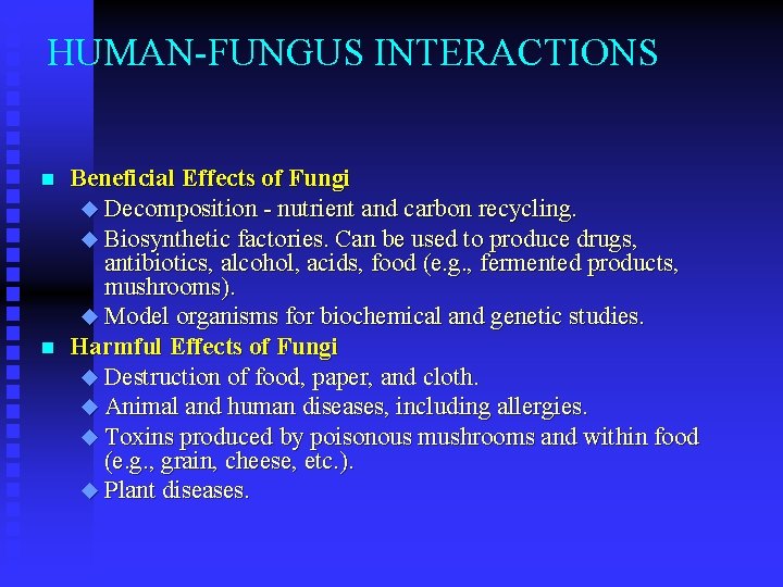 HUMAN-FUNGUS INTERACTIONS n n Beneficial Effects of Fungi u Decomposition - nutrient and carbon